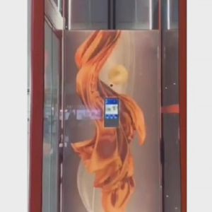 Stainless Steel Home Elevator | 400kg Small Residential Lift