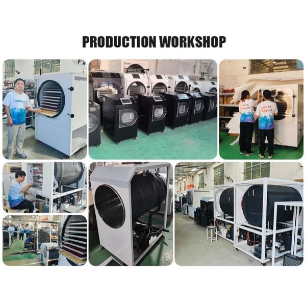 4-6Kg Household Vacuum Freeze Dryer Machines for Food Vegetable Fruit Milk