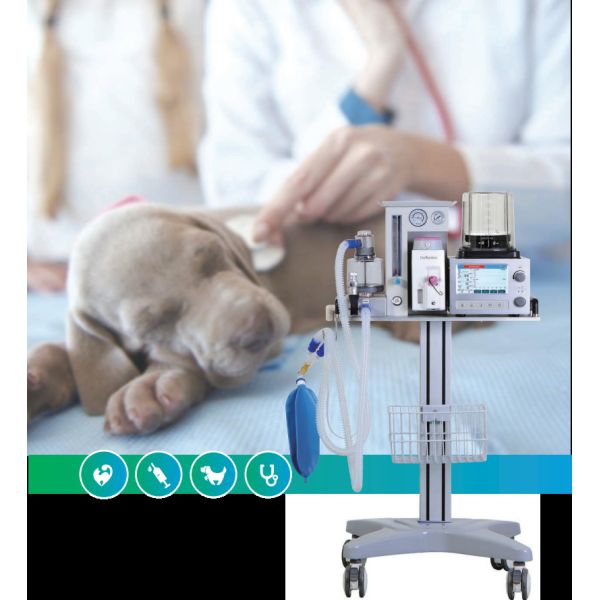 DM6B Veterinary Anesthesia Ventilator System AC 100-240V 7 Inch Color LCD Display