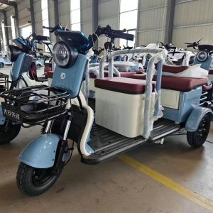 Family Commuting Leisure Electric Tricycle 500 Watt C6 50KM/H