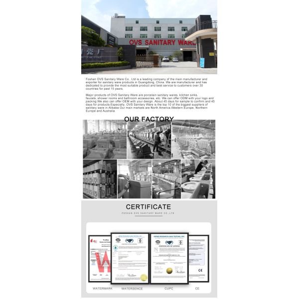 Washdown Elongated Wall Hung Toilet American Standard P Trap Wc