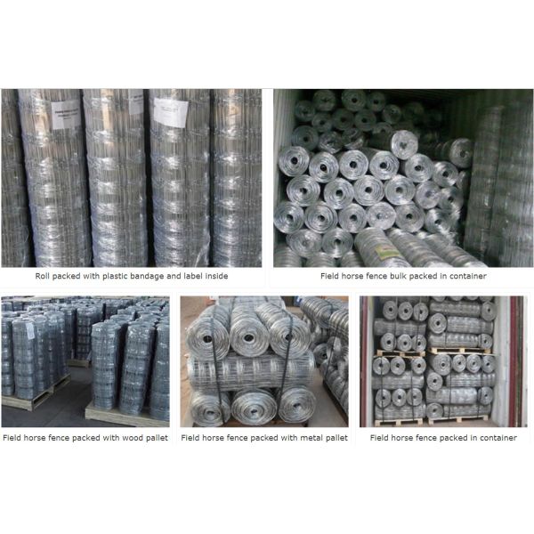 Galvanized Wire Mesh Garden 8 ft metal tube farm field fence gate