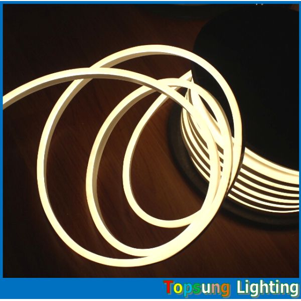 220v/110v/24v led rope light 10*18mm rgb neon flex light with bottom price