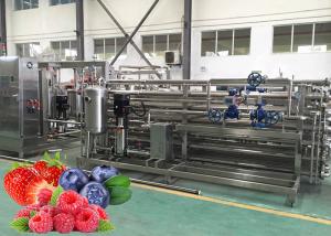 China CIP Cleaning Fruit Processing Line Strawberry Juice Processing Machine ISO9001 on sale