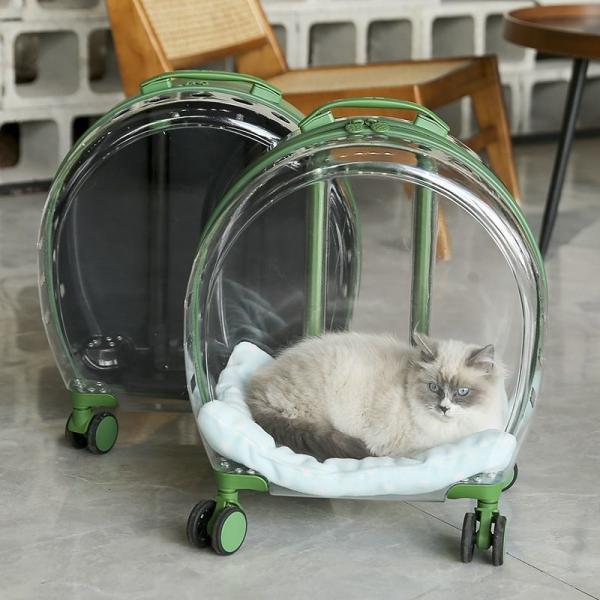 Anti-Theft Clear Pet Carrier Portable Pet Holder Waterproof Travel Suitcase Polyester Lining Material Breathable Pet Carry