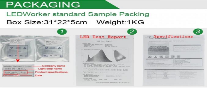 Relight SMD5050 High voltage waterproof RGB 110V CRI >90 3 Steps SDCM Macadam led flexible light strips
