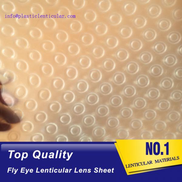 PLASTIC LENTICULAR latest flying 3d lenses fly-eye plastic sheet film with 3d 360 degree