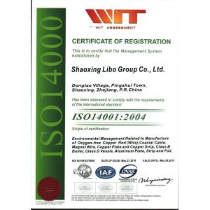 Shaoxing Libo Electric Co., Ltd Certifications