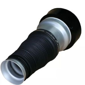 W221 Air Spring Front 2Matic