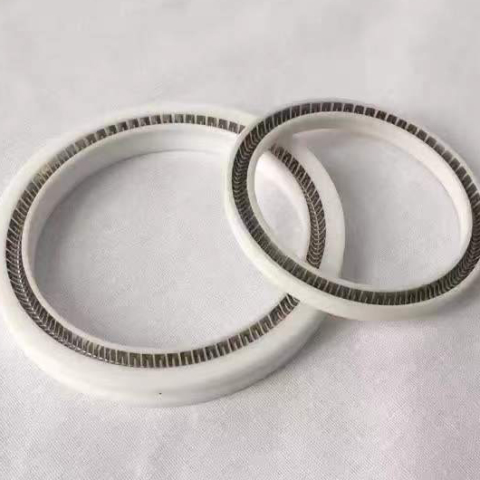 Customizable Sophisticated Structure Spring Energized PTFE Seal for All Industries