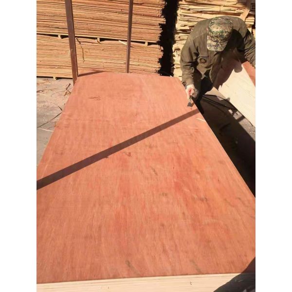 Furniture Moisture Proof 18mm 12mm Bintangor Plywood