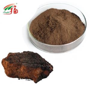Cheap Chaga Mushroom Extract Powder 20% - 30% Polysaccharides For Cosmetics wholesale