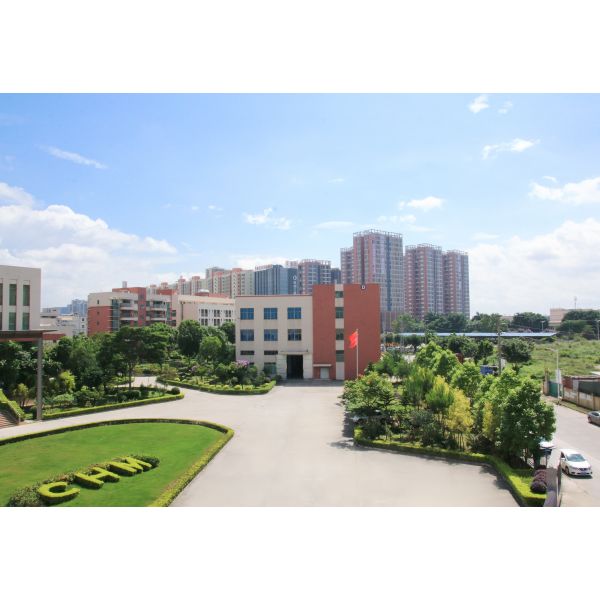 Paper Sheeting Machine Twin Knife Precision High Speed Sheeter