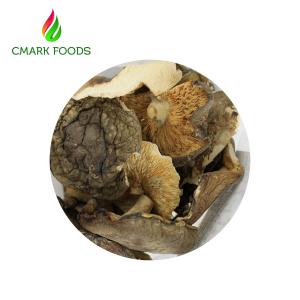 China Gourmet Food Dried Oyster Mushrooms Grade B Dried Wild Mushrooms on sale