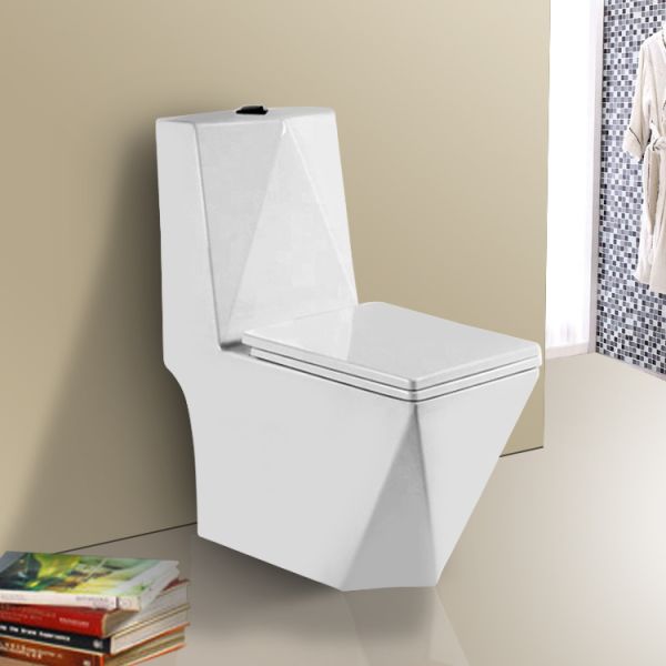 Dual Flush Elongated One Piece Toilet Washdown With Soft-Closing Seat