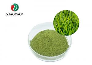 Cheap Organic Barley Grass Juice  Powder / NOP EU Pure Green Barley Grass Powder wholesale
