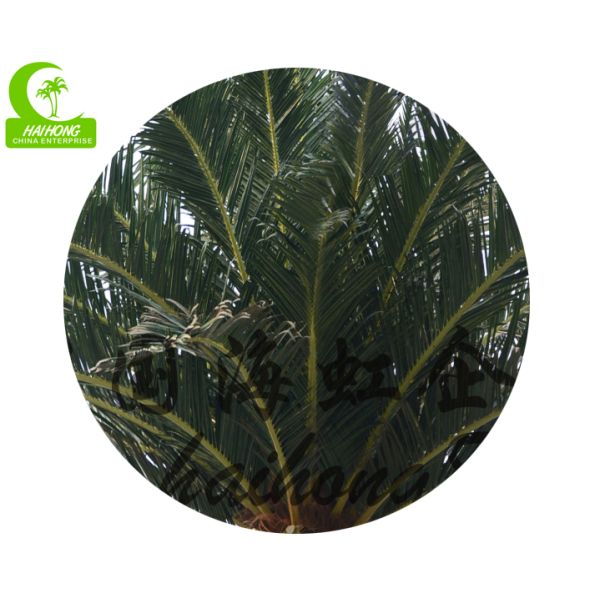 800cm Artificial Tropical Tree