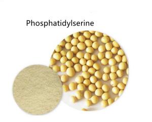 Cheap CAS 51446-62-9 Pure Extract Phosphatidylserine Fine Powder Improving Sleep Quality wholesale