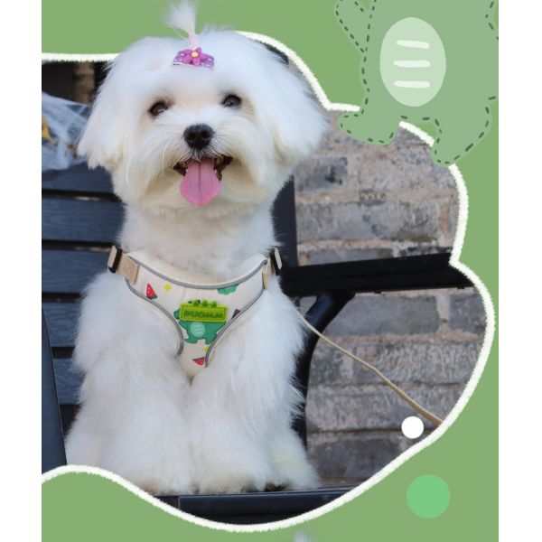 New dog leash small and medium-sized dog chest harness cartoon dinosaur dog walking rope reflective pet chest harness