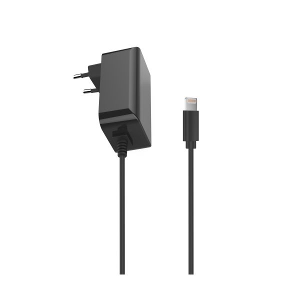 OEM ODM 18W 5V2.4A iPhone European Adapter