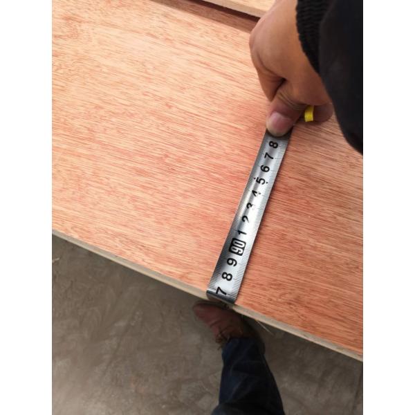 Furniture Moisture Proof 18mm 12mm Bintangor Plywood