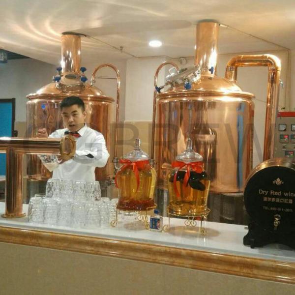 200L nano brewery equipment stainless steel brewing equipment for craft beer production line