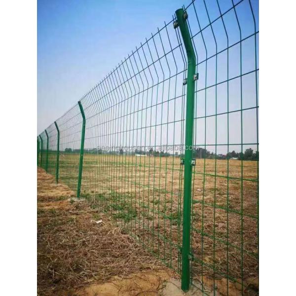 1.2mm Hot-Dipped Galvanized 3D Curved Welded Wire Mesh Fence for Pressure Treated Wood