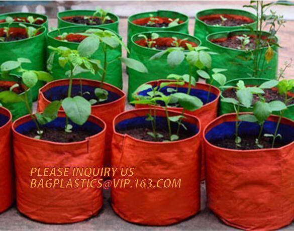 Hydroponic planter outdoor self watering plastic flower bag wholesale,Garden planter recycled plastic felt fabric plante