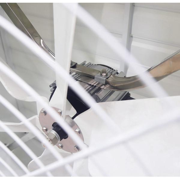 DHF FRP industrial greenhouse big size factory exhaust fan for industrial use workshop exhaust fans ventilation fan