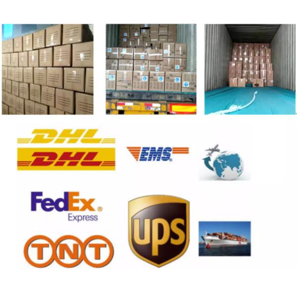 S&J Fashion Colorful Disposable 3ply Earloop Dental Face Mask