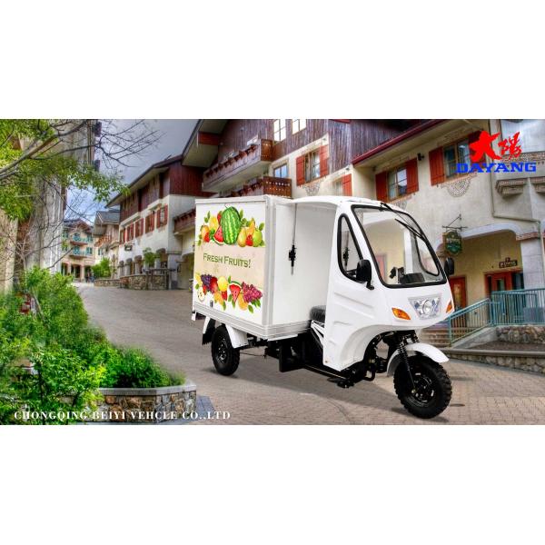 DAYANG Closed Body Express Cargo Tricycle AIR-cooling Engine 4.5 inch for B2B Shipping