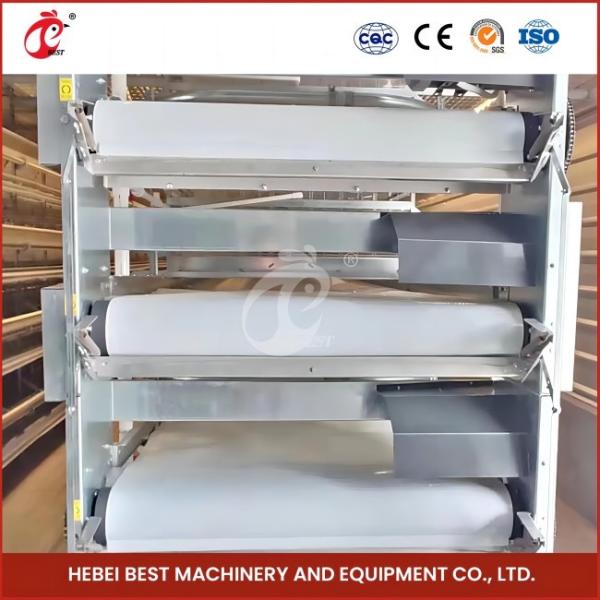 Space Saving Automatic Broiler Cage System For 120-200 Chickens Rose