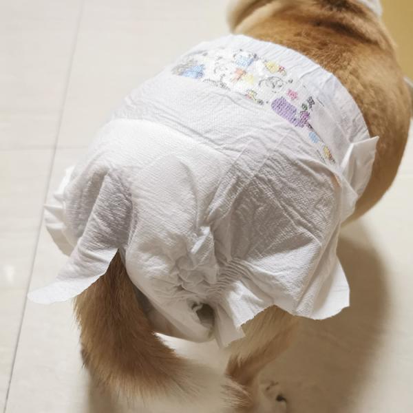 ISO9001 A Grade Non Woven Topsheet Disposable Pet Diapers For Dogs
