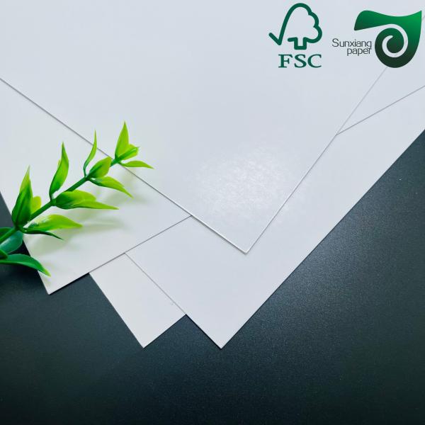 FSC C2S Matte Glossy Coated Art Board 80G 115G 635mm 900mm Coated Two Sides