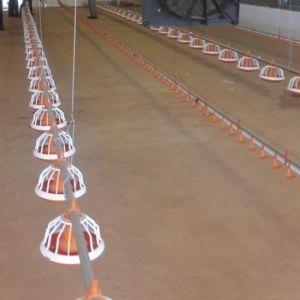 Auto Pan Feeder Steel Broiler Poultry Equipment