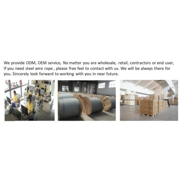 No Sit Haunch Holder Dog Tie Out Cable Adjustable For Grooming Noose