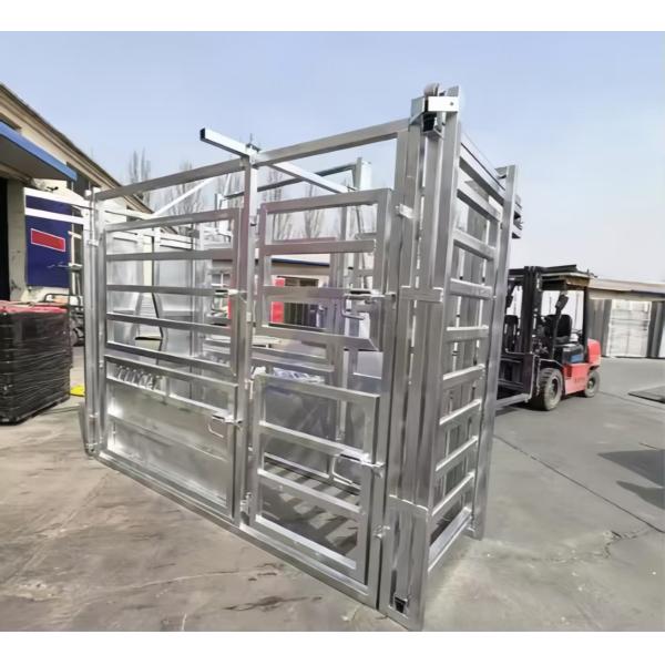 Heavy Duty Steel Cattle Buildings Customized Steel Structure Animal Husbandry Equipment