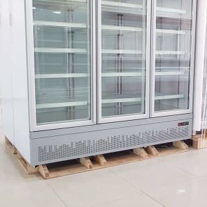 Commercial Upright Glass Door Display Freezer 3 Door