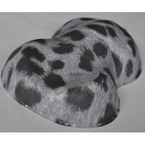 Speedshape Effect Show