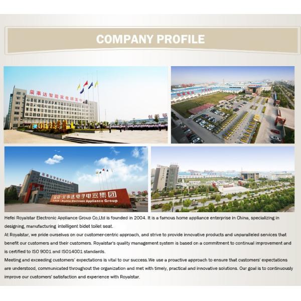 New Model Intelligent Heated Seat Bubble Washing Electric Bidet