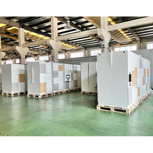High Security Steel Storage Lockers Wooden Cabinet Lock Smart Parcel System Metal 12 Door