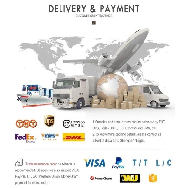 Electric Travel Hanging Ironing Machine with 220/110v Voltage and Quick Steam Feature