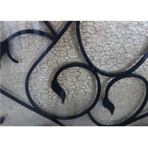 Wrought Iron Security Doors Glass Agon Filled 22*64 inch Size Shaped Wrought
