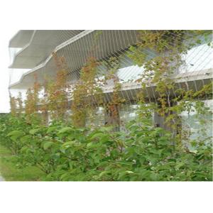 Cheap Knotted Stainless Steel Cable Trellis , Cable Wire Mesh For Green Wall wholesale