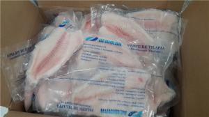 Cheap Nutritious Fresh Frozen Seafood Tilapia Fillets Products Rich Vitamin And Mineral wholesale