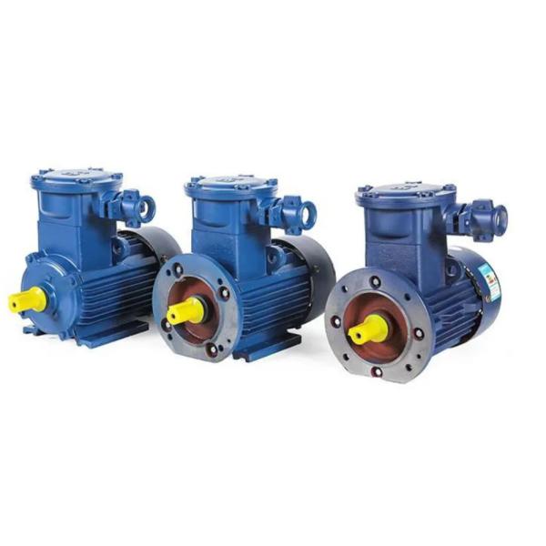 YB3-355M2-4 250KW FlameProof Three Phase Asynchronous Motor YB3 Series