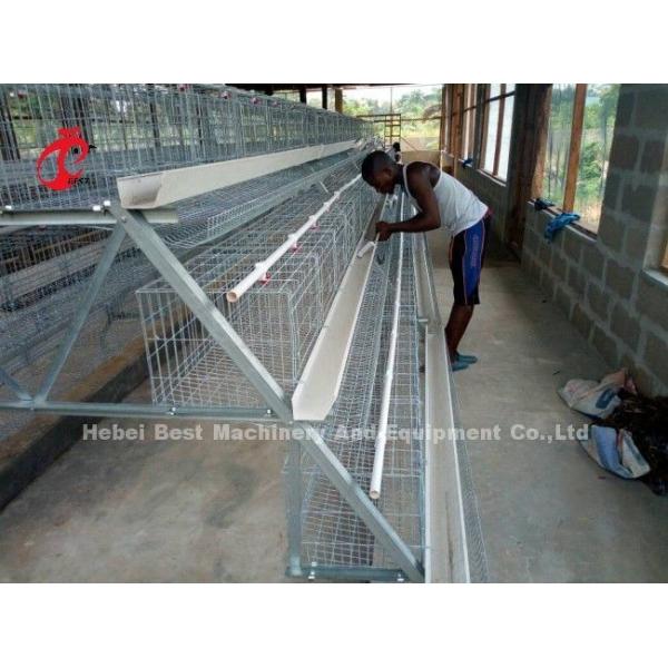 A Or H Type 3 Or 4 Tier Chicken Battery Cage For Poultry Chicken Farm Doris