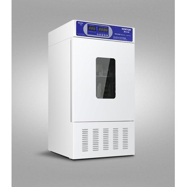 Cooled Thermostatic Incubator Laboratory Bacteriological Incubator With Refrigerated 0-65C