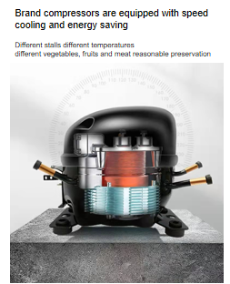 Direct Cooling Stainless Steel Cabinet Refrigeration Facilities