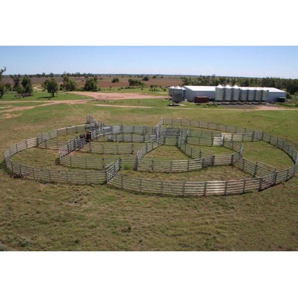 30x60mm Galvanized Cattle Fence Panels Heavy Duty / Horse Yard Panel